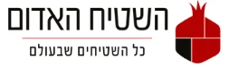 לוגו השטיח האדום — לקוח EYEZ